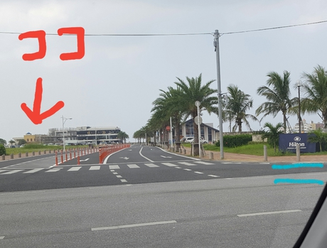 8月24日 オープン!!! 8月24日 オープン!!!