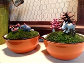 Petit Edenです(^ ^) Petit Edenです(^ ^)