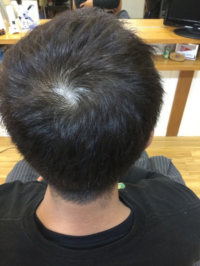 育成プログラム?! 育成プログラム?!