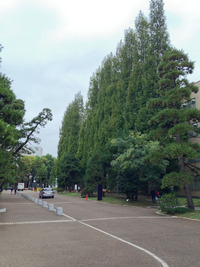 東北の旅⑤:ありがと〜、また来るよ〜♪