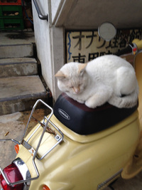 土鍋って。