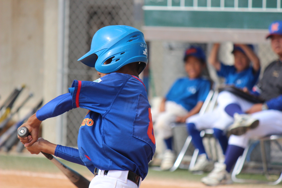 スポーツ少年団軟式野球交流大会 南部Ｂブロック　２日目：2015年4月25日（土）