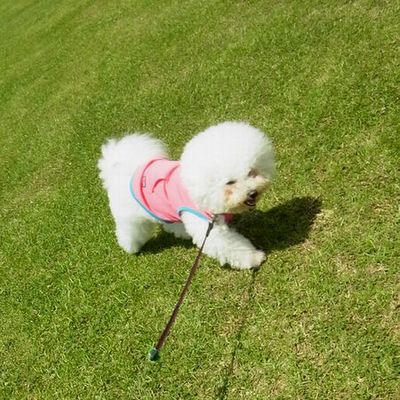 +病院へ行く前に+