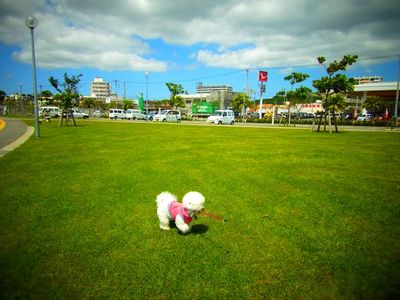 +病院へ行く前に+