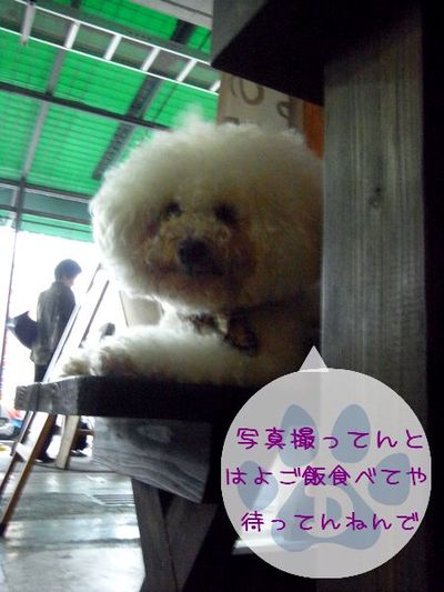 +沖縄中部de遊ぶ+