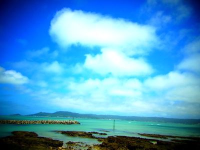 +移住後 台風一号+