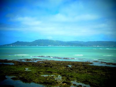 +移住後 台風一号+