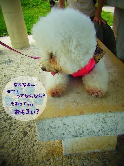 +移住後 台風一号+