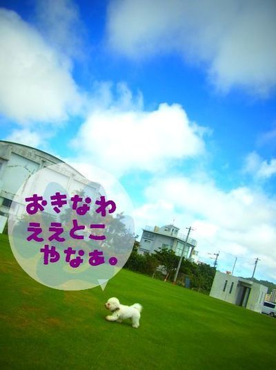 +王子toデート( ˘ ³˘)♥+