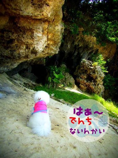 +沖縄南部de遊ぶ+