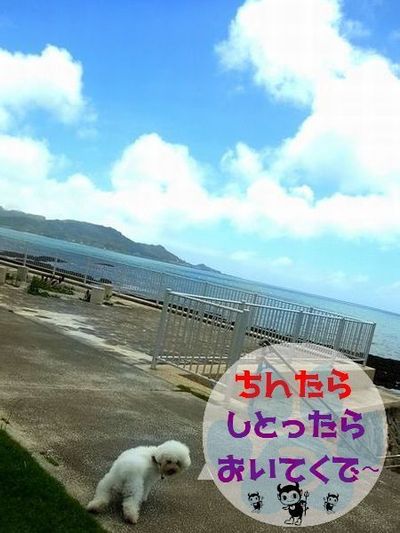 +王子toデート( ˘ ³˘)♥+