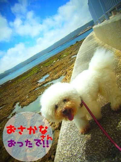 +王子toデート( ˘ ³˘)♥+