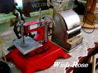 Wish Rose