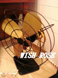 Wish Rose