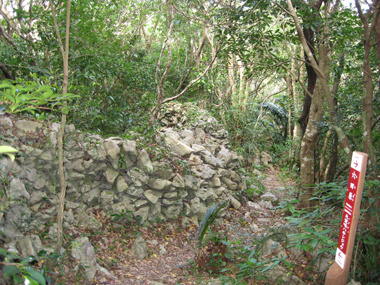大宜味村の山