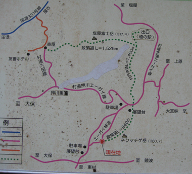 大宜味村の山