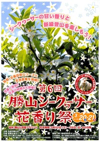 今週末は名護市勝山へ!