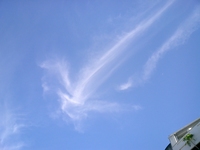 不思議な形をした雲