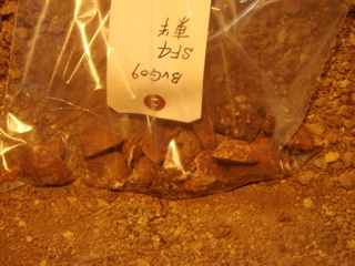 6000年前の縄文土器わんさか