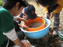 発掘調査見学会!