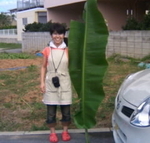 okinawarc