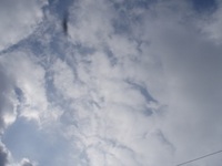 2008年03月21日