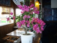 2008年03月31日