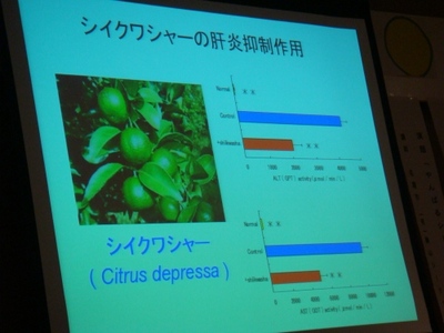 シークヮーサー講演会