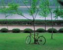 3月サイクリング　源河林道と福地ダムにツツジまつり 2008/02/26 19:48:57