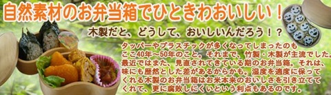 木製お弁当箱