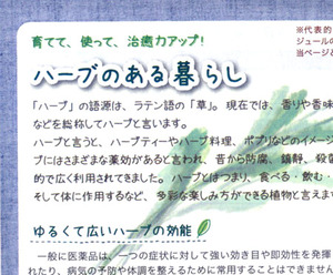 ハーブ情報