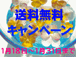 恒例の送料無料！！ 2010/01/16 11:11:33