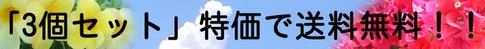 アロマの虫よけ