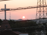 今朝の朝日 2007/11/15 07:18:39