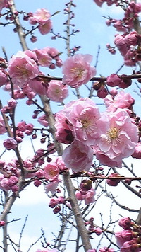 2012年05月13日