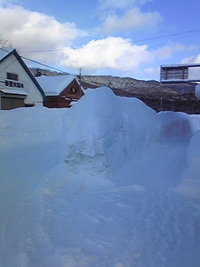 2012年01月22日