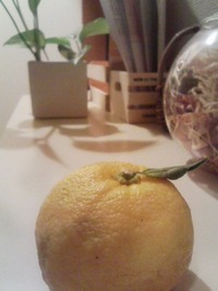 ゆず湯で冬至 2009/12/22 19:08:41