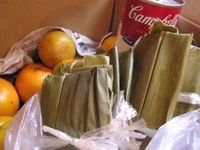 ムーチーから漢方的暮らし 2010/01/27 23:58:35