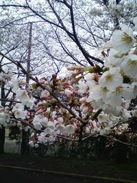 「心理カウンセラー」という大通り 2010/03/30 00:00:00