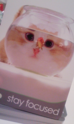 にゃんこのメッセージカード