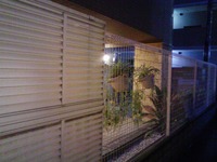カラダにごめんね　の巻 2009/06/05 19:36:49