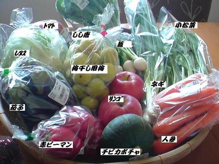 野菜を仕入れて来ました=33