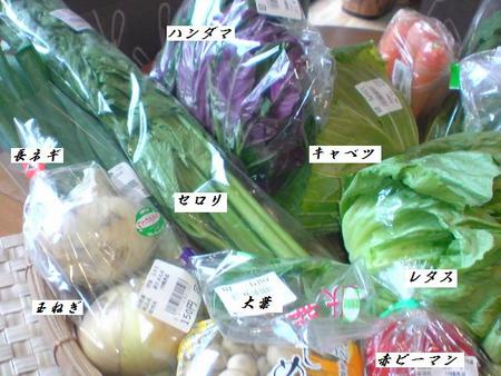 野菜たくさん買って来ました♪