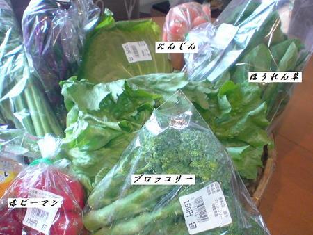 野菜たくさん買って来ました♪