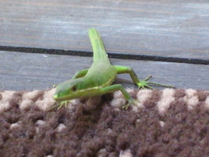 懐かしのあの人は なう。