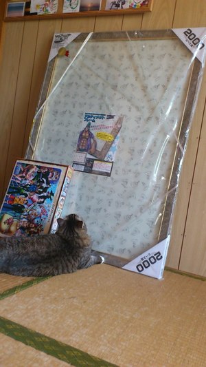 猫について 15。