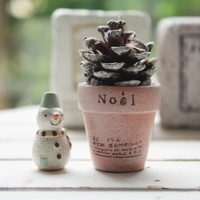 2011年12月12日