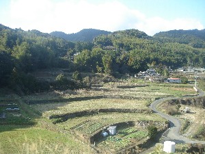 八日目の蝉 笑っちゃいました