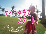 可愛い仲間募集中!