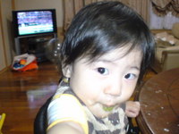 夏バテしらず 2008/07/03 11:48:14